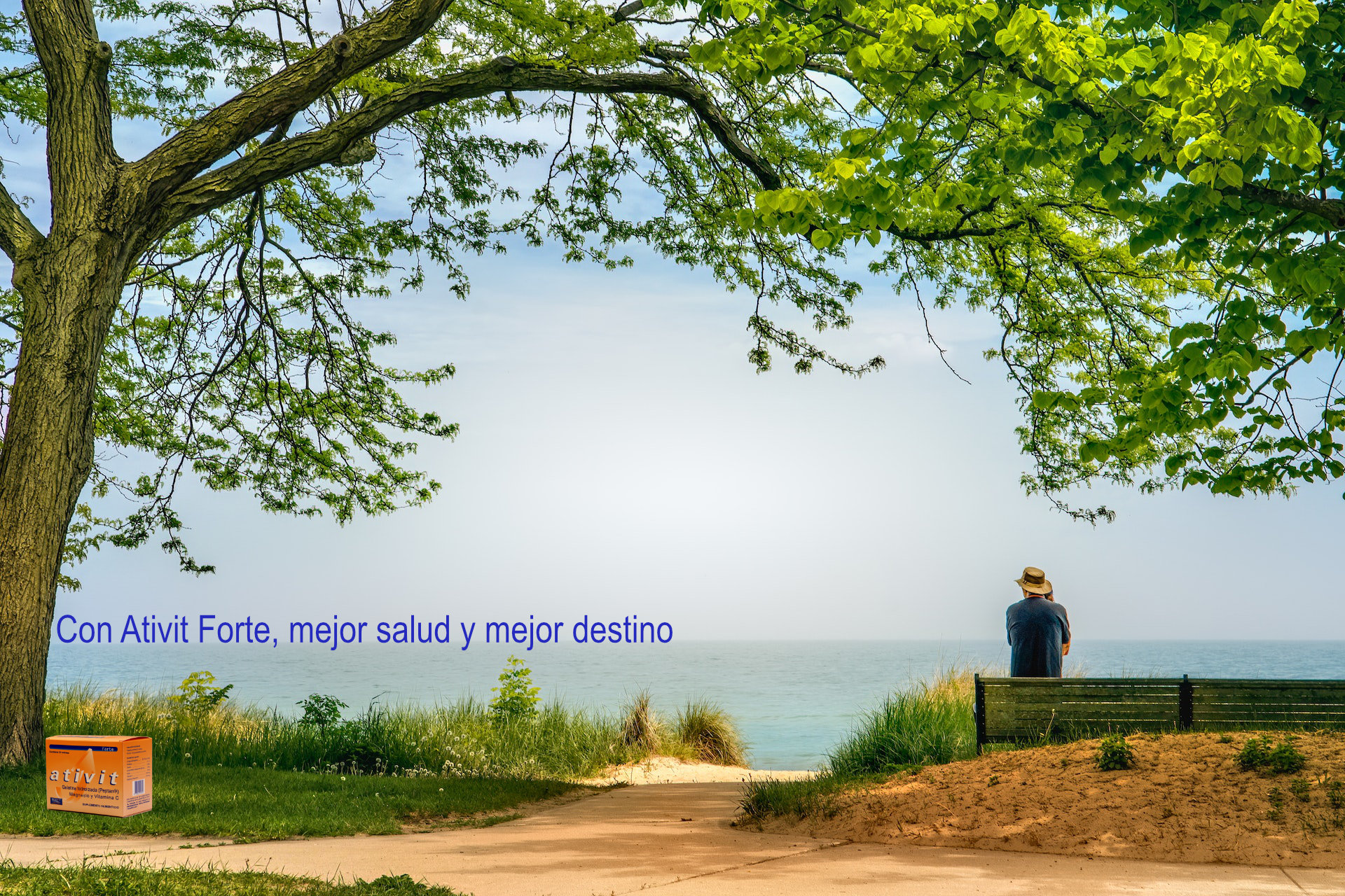 horizonte sano